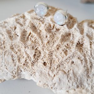 Rainbow Moonstone studs Earrings